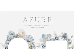 Spring Into Summer Bundle