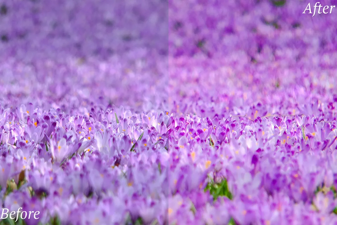 20 Spring Lr Presets