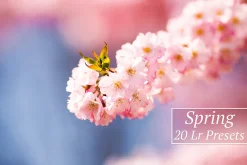 20 Spring Lr Presets