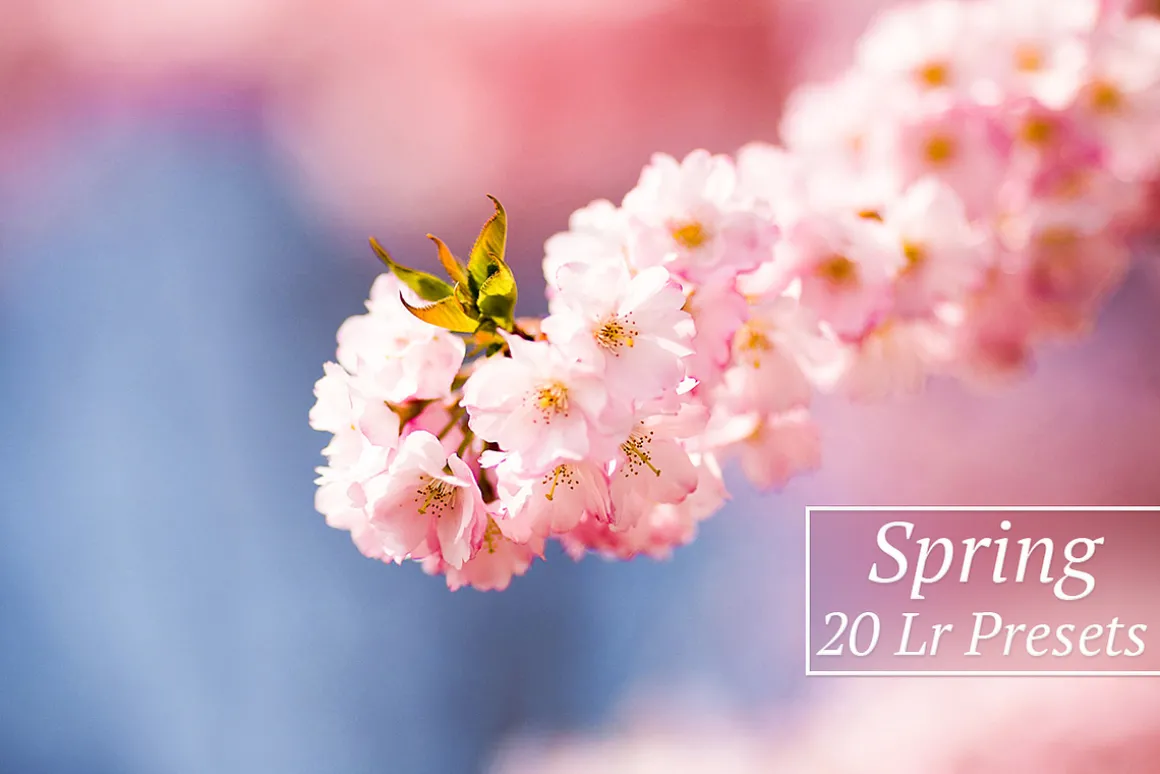 20 Spring Lr Presets
