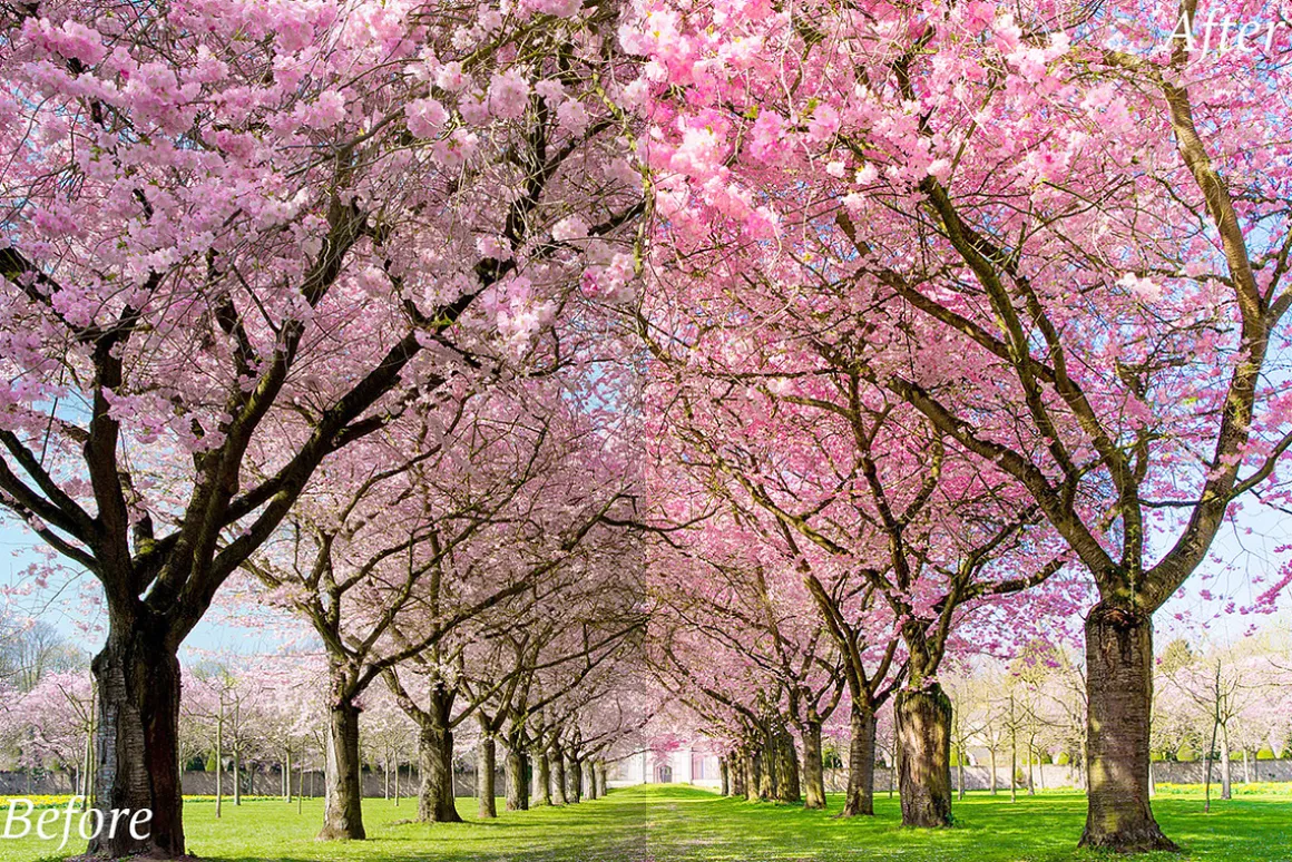 20 Spring Lr Presets