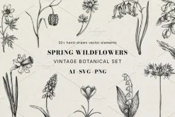 Spring Wildflower Vintage Vector Set