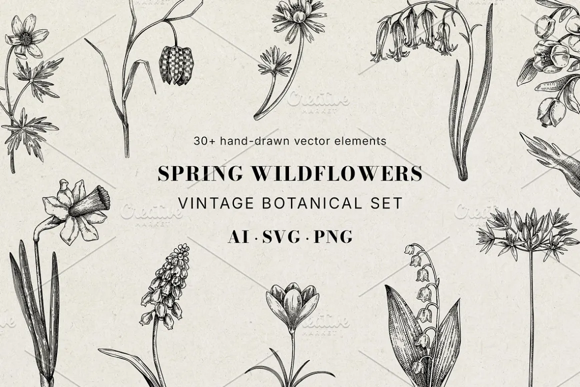 Spring Wildflower Vintage Vector Set