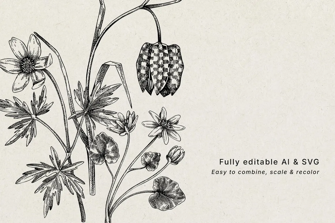 Spring Wildflower Vintage Vector Set