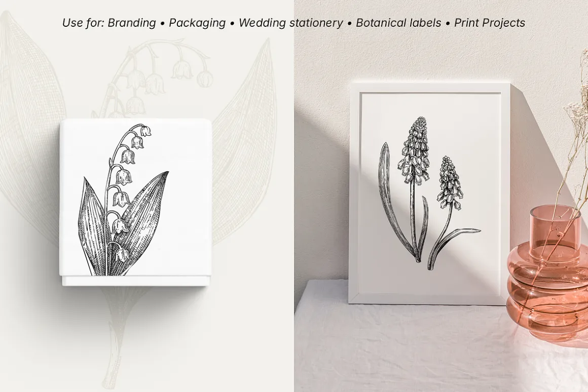 Spring Wildflower Vintage Vector Set