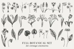 Spring Wildflower Vintage Vector Set