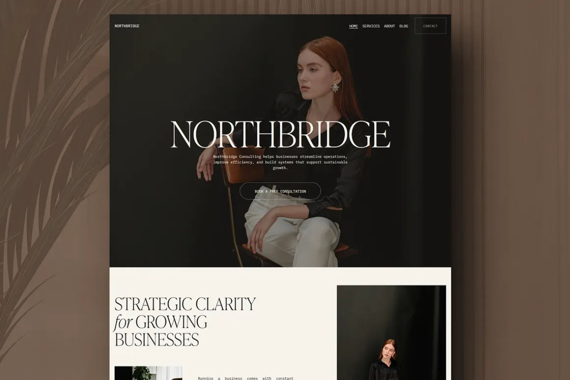 Squarespace Website for Consultants