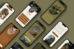 Squarespace Website Template Boho