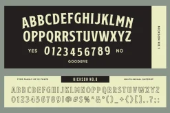 S&S Nickson Font Bundle