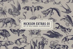 S&S Nickson Font Bundle