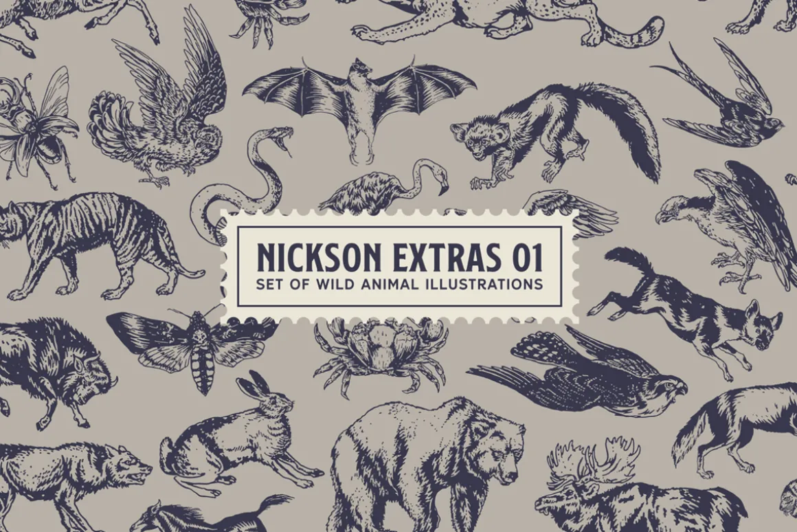 S&S Nickson Font Bundle