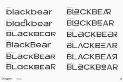 Stagen | Modern Display Sans Serif
