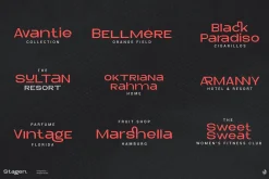 Stagen | Modern Display Sans Serif
