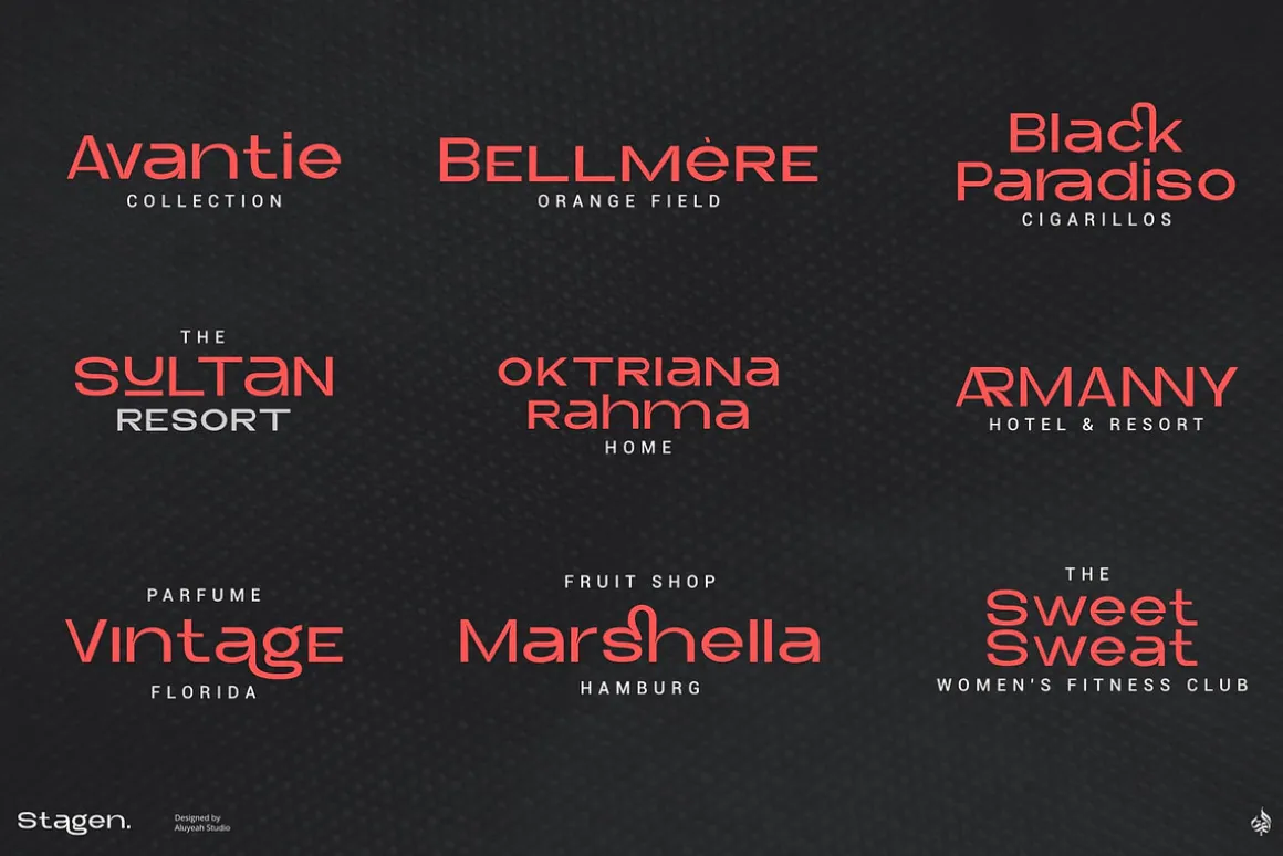 Stagen | Modern Display Sans Serif