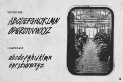Stages Brush Fonts