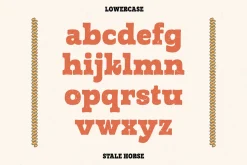 Stale Horse | Western Typeface