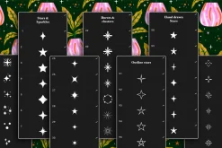 100 Star stamp brushes
