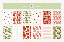 Strawberry watercolor illustrations