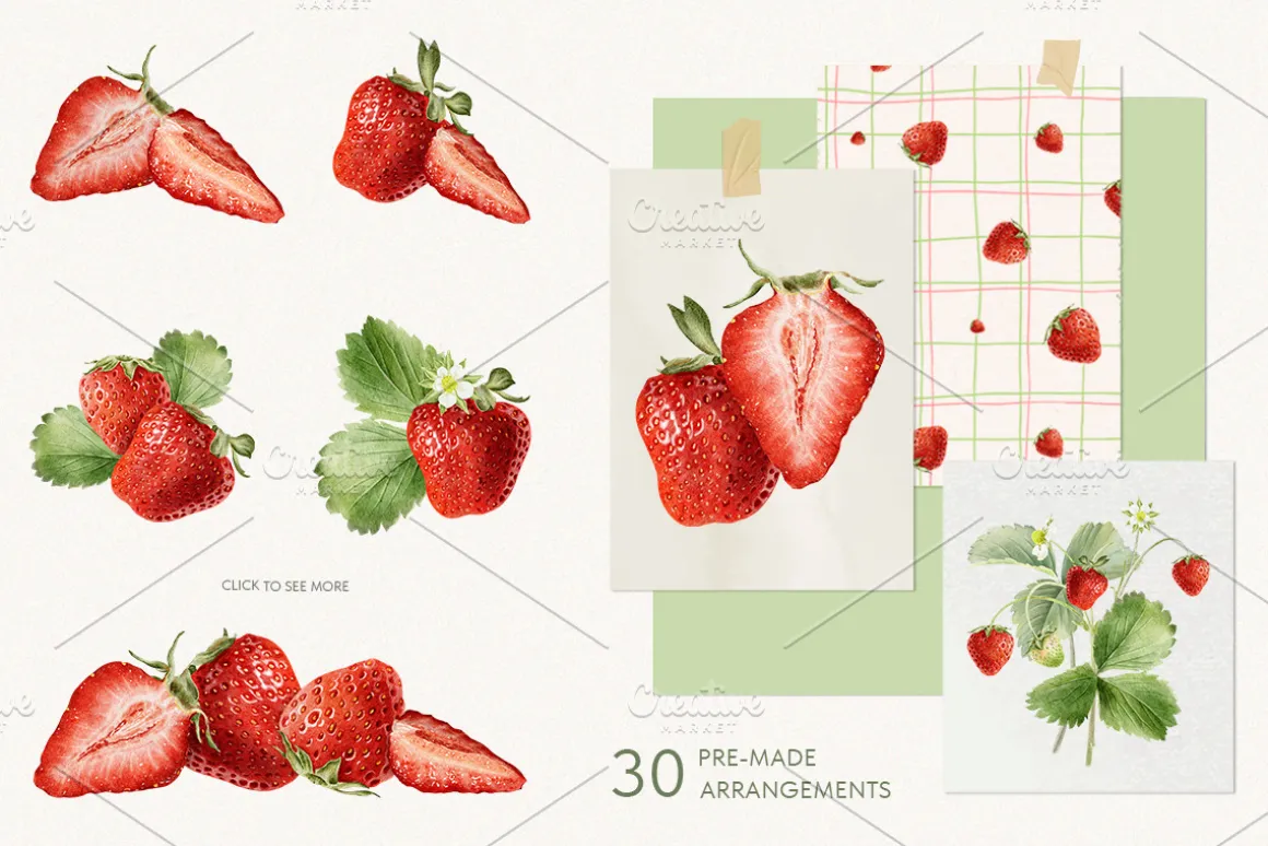 Strawberry watercolor illustrations