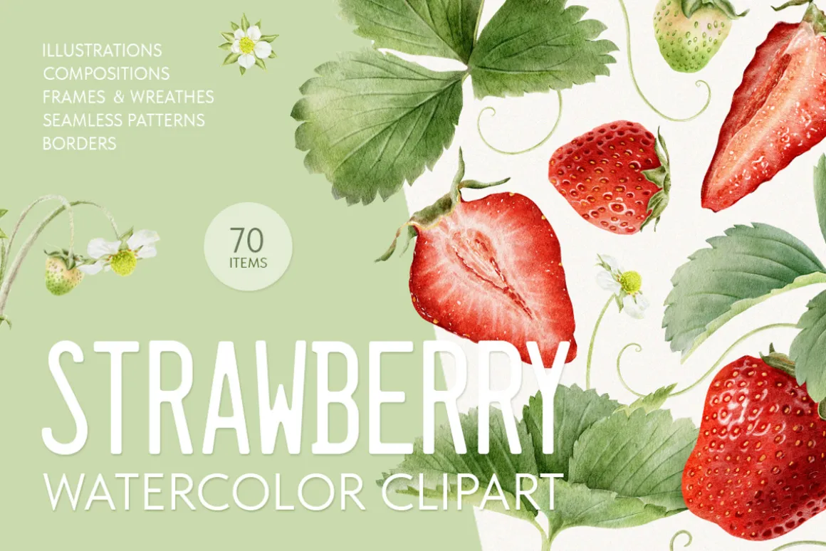 Strawberry watercolor illustrations