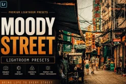 Street Photography Lightroom Presets