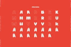 Stuggi – Modern Display Font