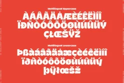 Stuggi – Modern Display Font