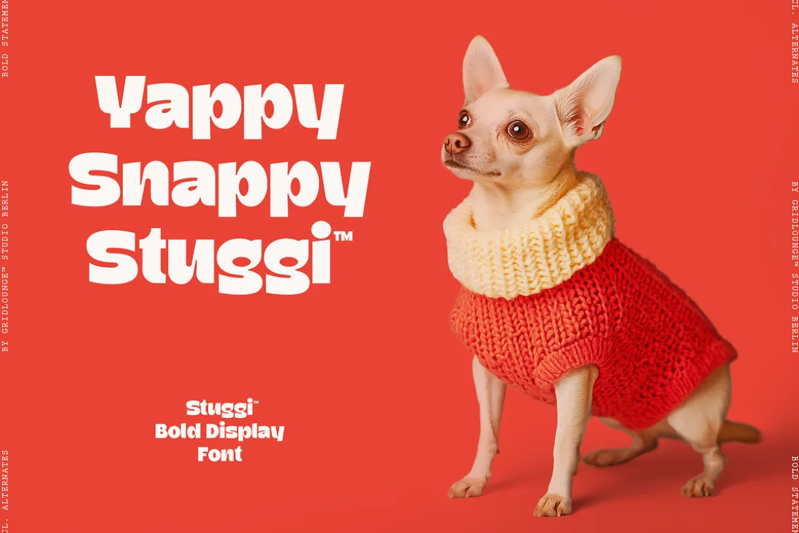 Stuggi – Modern Display Font