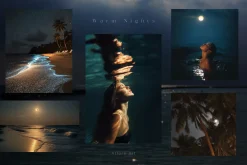 890 Summer Beach Stock Images Bundle