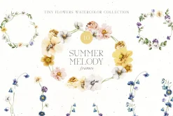 Summer Melody Watercolor Flowers