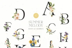 Summer Melody Watercolor Flowers