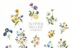 Summer Melody Watercolor Flowers
