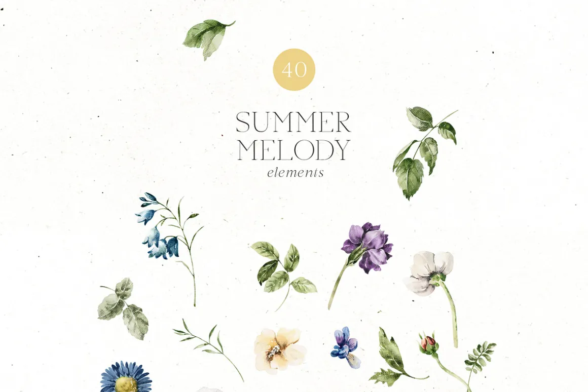 Summer Melody Watercolor Flowers
