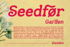 Sunday Chocolate - Retro Serif