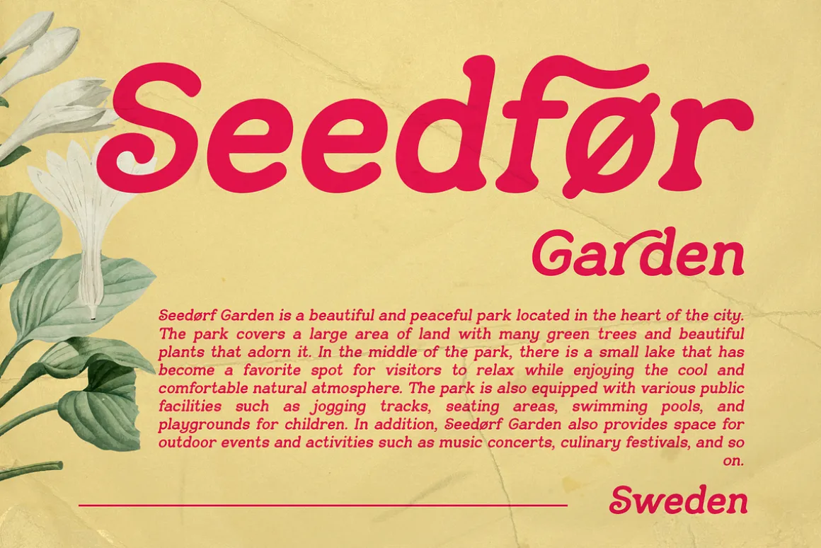 Sunday Chocolate - Retro Serif