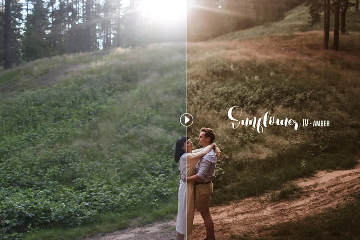 Sunflower Lightroom Presets
