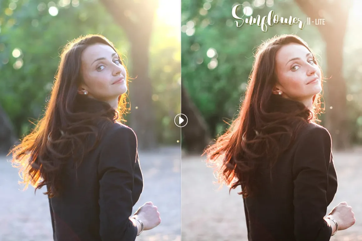 Sunflower Lightroom Presets