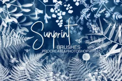 Sunprint Brushes Procreate/PS