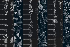 Sunprint Brushes Procreate/PS