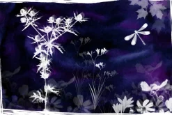 Sunprint Brushes Procreate/PS