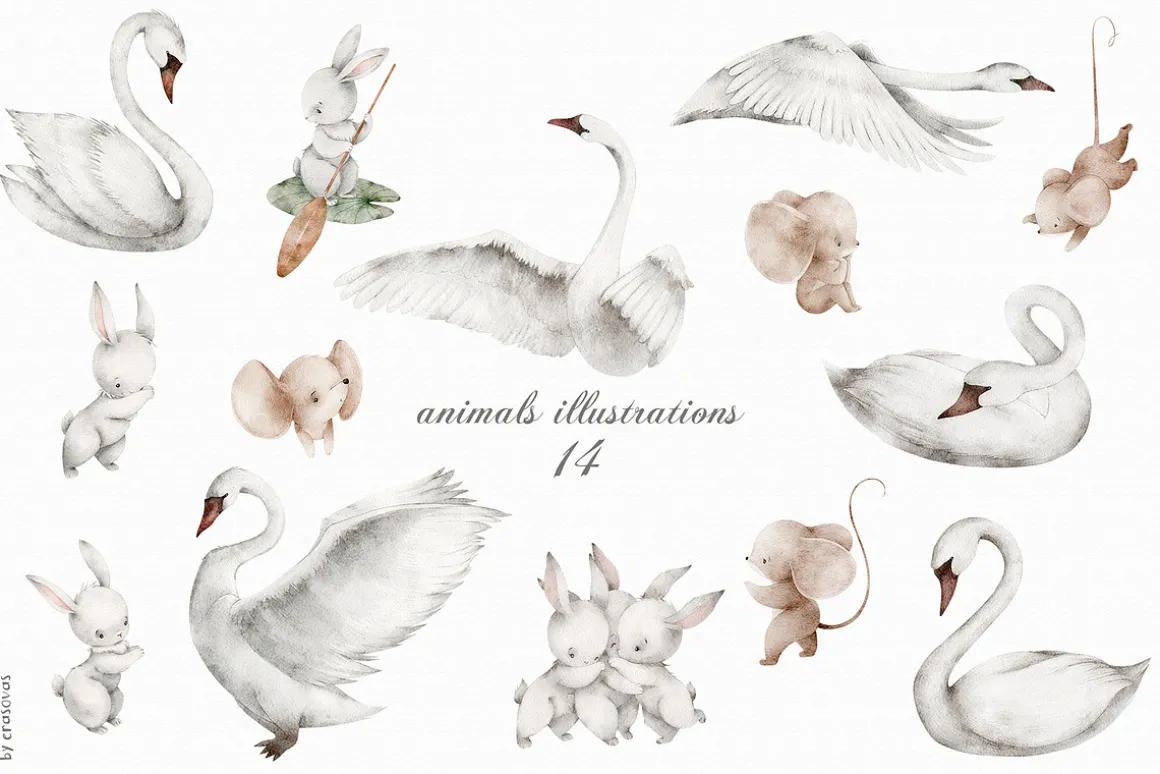 SWAN LAKE watercolor set