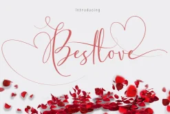 Swashy Font Bundle