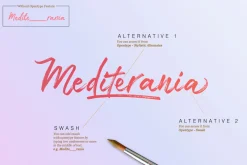 TakeEasy Brush Font