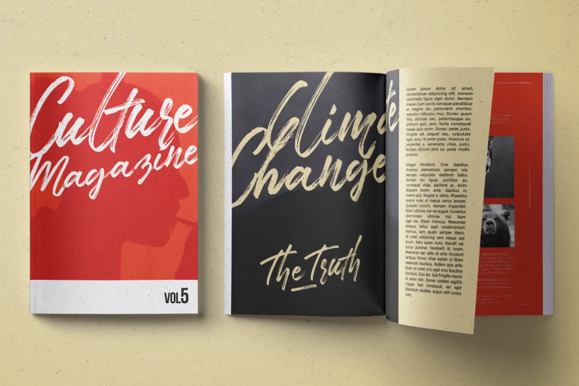 TakeEasy Brush Font