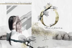 "Tamashi" Elegant Graphic Collection