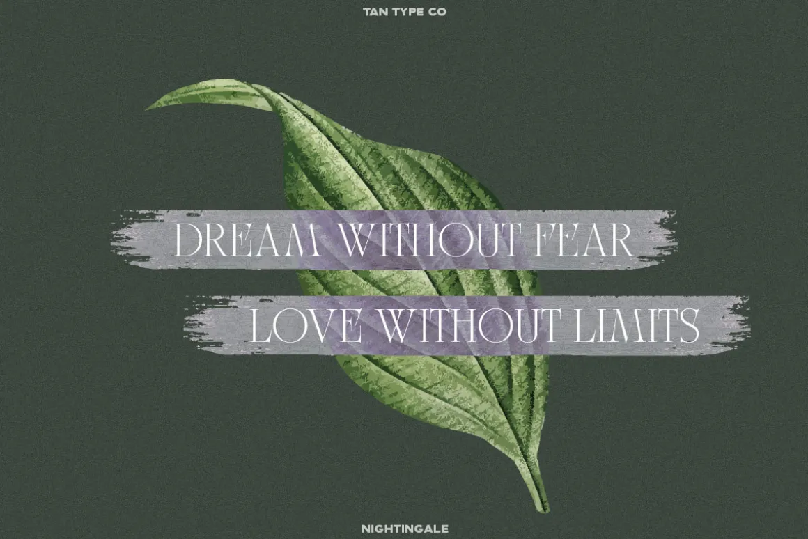 TAN - NIGHTINGALE