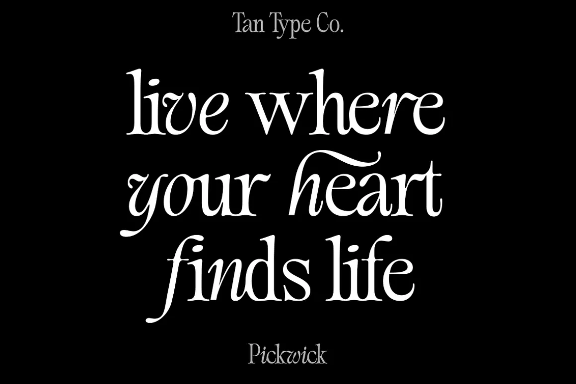 TAN - PICKWICK