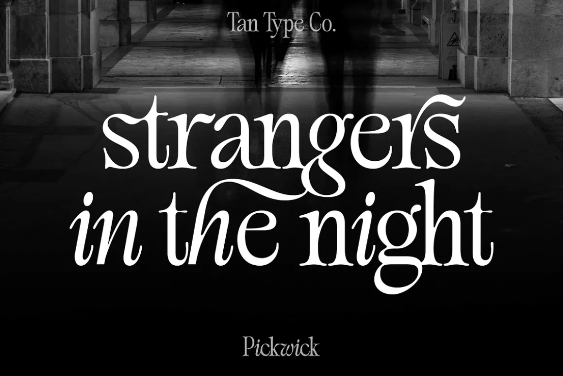 TAN - PICKWICK