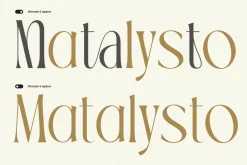 TBJ Palatino Stylish Serif Font