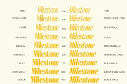 Ten Twenty Family (18 Fonts)